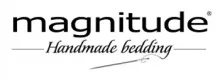 Magnitude